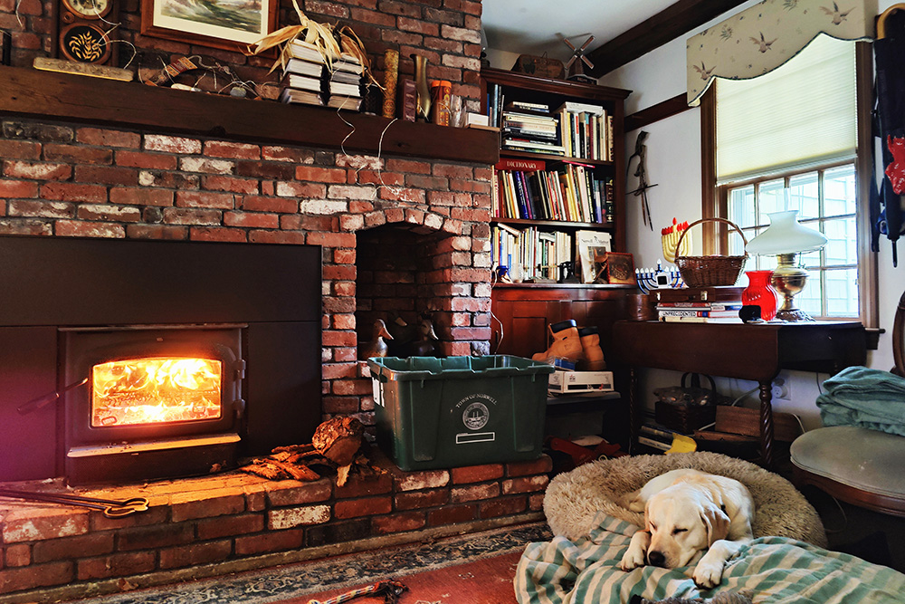 Lucy resting in front of fire in family room